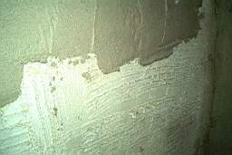 31 IM003885.jpg